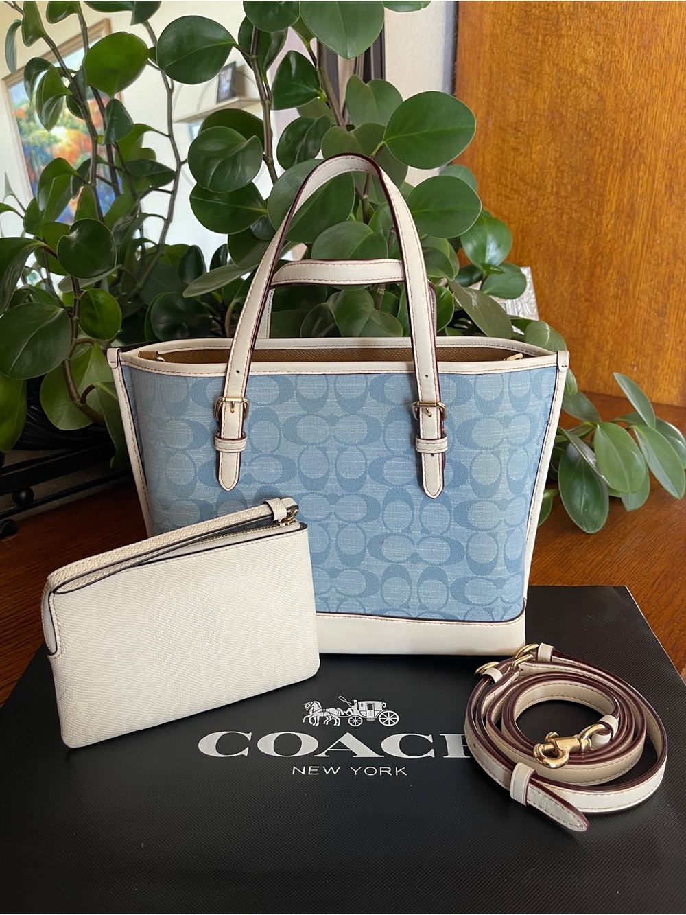 Coach Mollie Tote 25 with Matching Wristlet - Picture 2 of 11